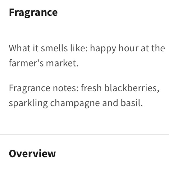 Bath & Body Works Owl With Pecan Pie NWT ! - Picture 4 of 4